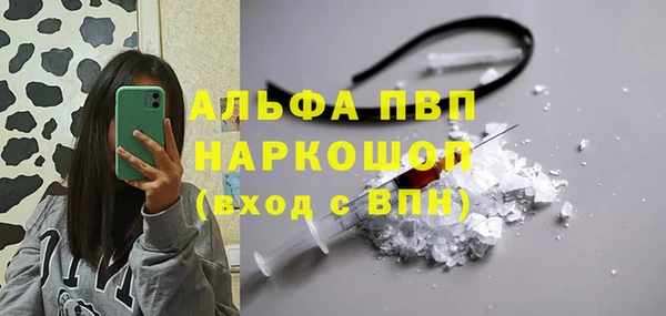 гашик Беломорск