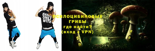гашик Беломорск
