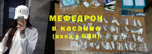 крисы Белокуриха