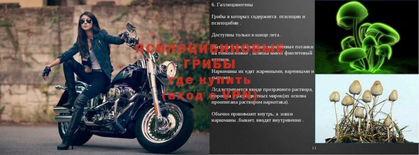 гашик Беломорск