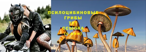 гашик Беломорск