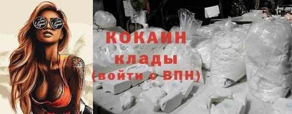 крисы Белокуриха