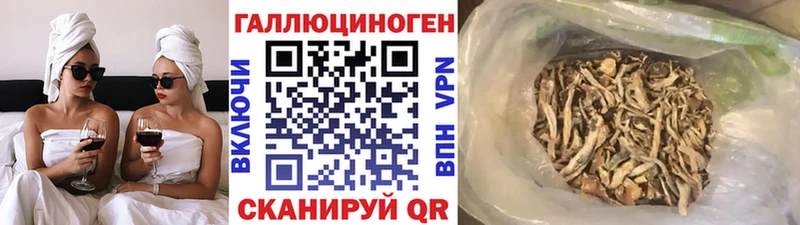 Псилоцибиновые грибы Magic Shrooms  Гатчина 